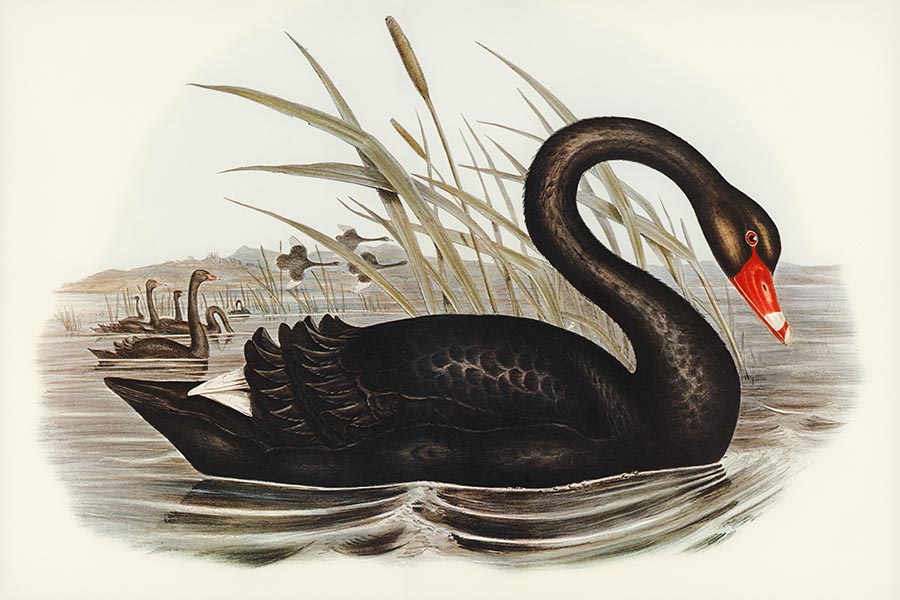 The Influence of Art on Contemporary Styles